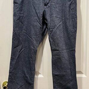 Express Navy Blue Flat Front Casual Pants